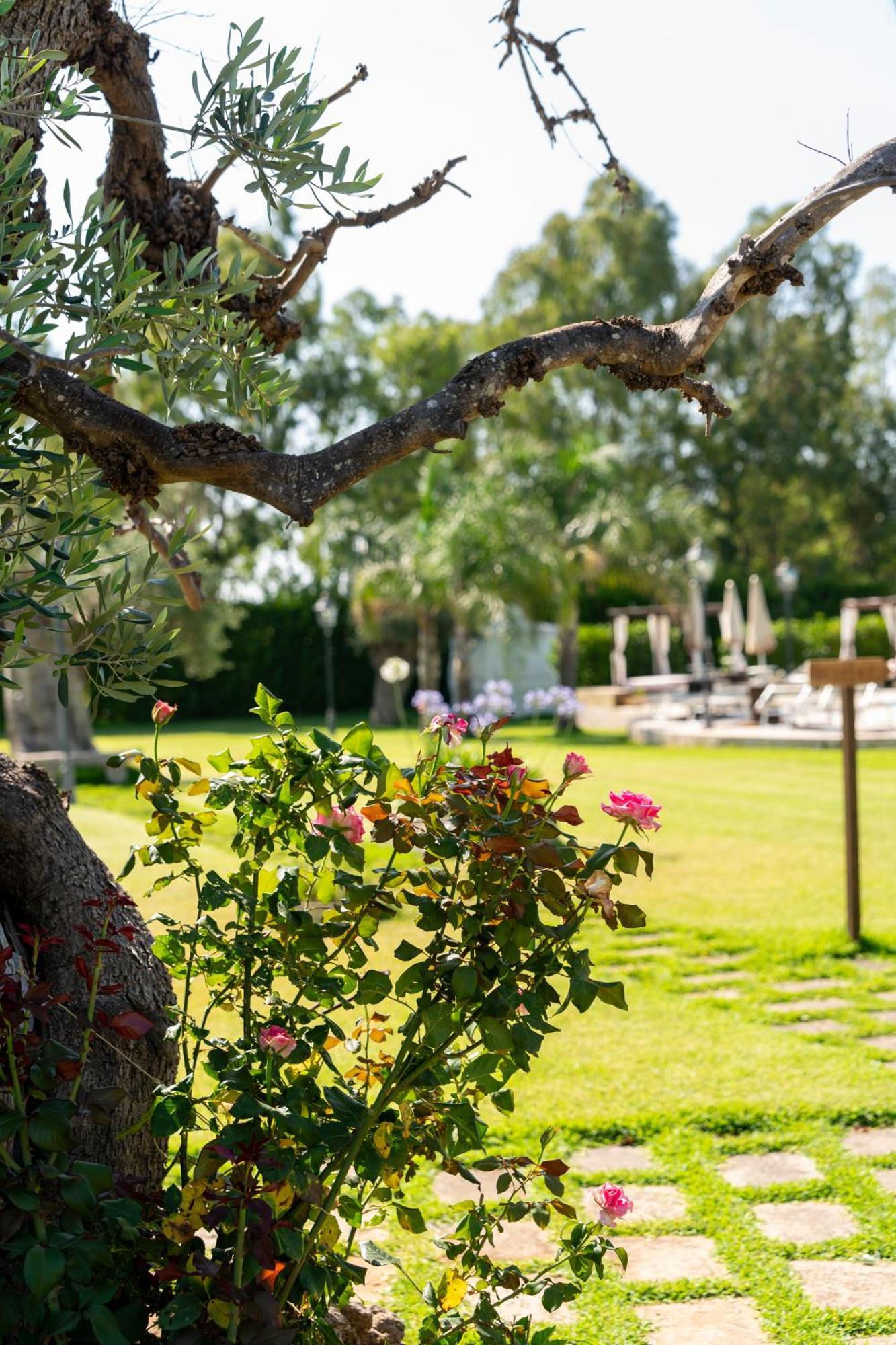 كاربينيانو سالينتينو Masseria Giamarra المظهر الخارجي الصورة